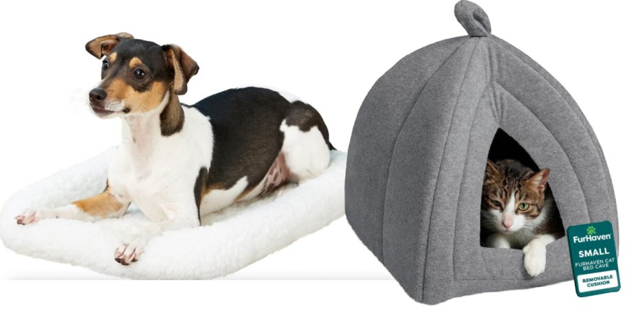 dog in white bed cat in grey tent bed