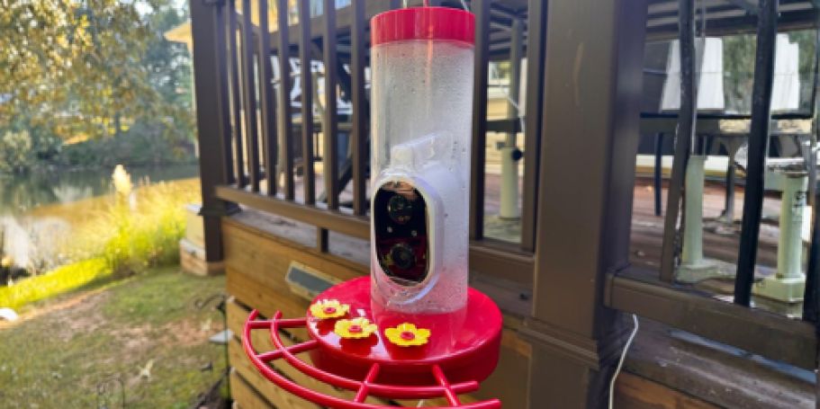 Smart Hummingbird Feeder Only $39.99 Shipped on Amazon (Reg. $126)