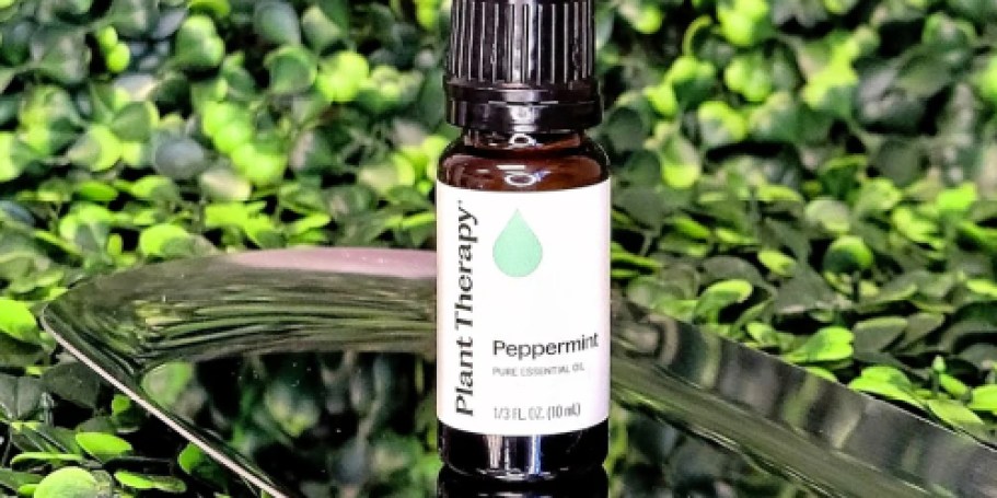 Plant Therapy Organic Essential Oils from $4 (Reg. $14)