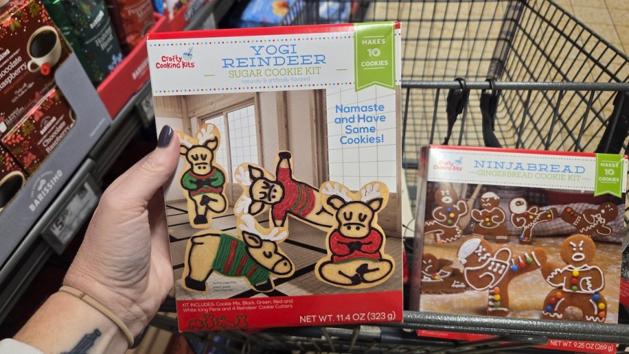 hand holding yogi reindeer cookie kit