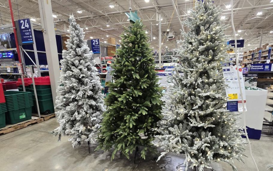 two different Christmas lowes