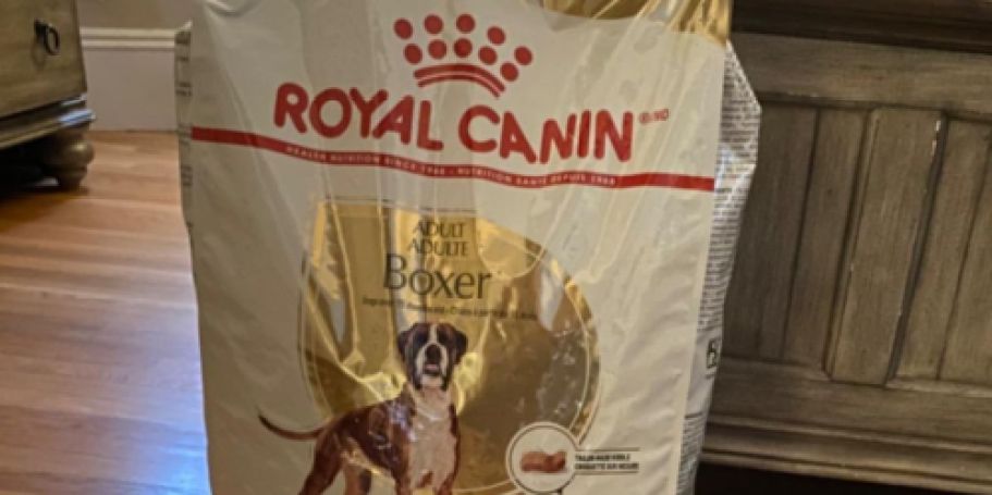 $220 Worth of Royal Canin Dog Food Just $59.99 Shipped on Amazon