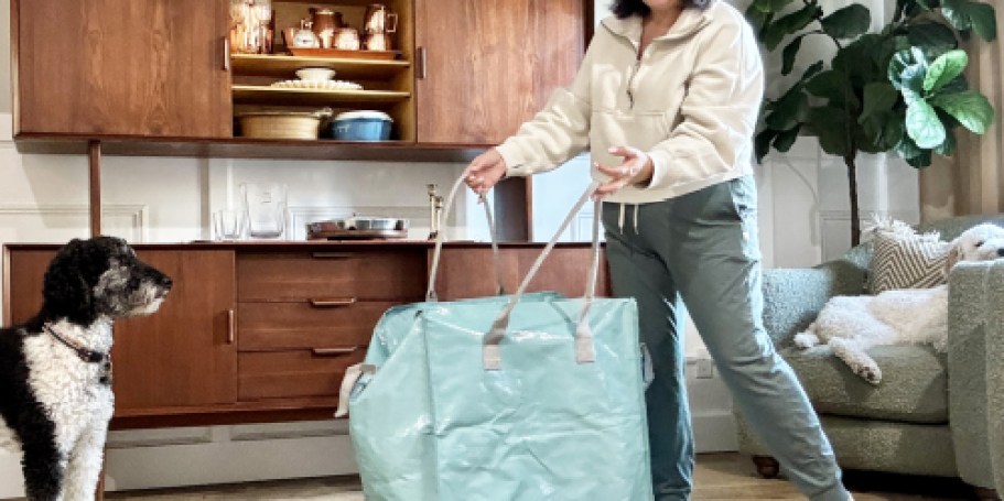 This $12 Target Rolling Tote Went Viral… and Yep, We Get the Hype!