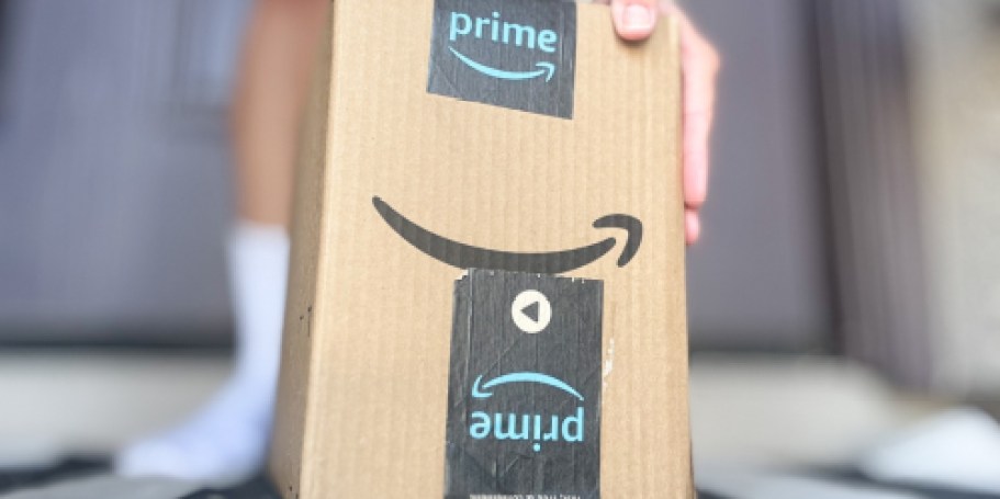 Random Amazon Finds Our Team Ordered: Storage, Graduation Gifts, Pet Supplies, & More