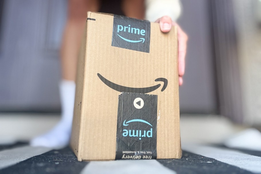 Random Amazon Finds Our Team Ordered: Storage, Graduation Gifts, Pet Supplies, & More