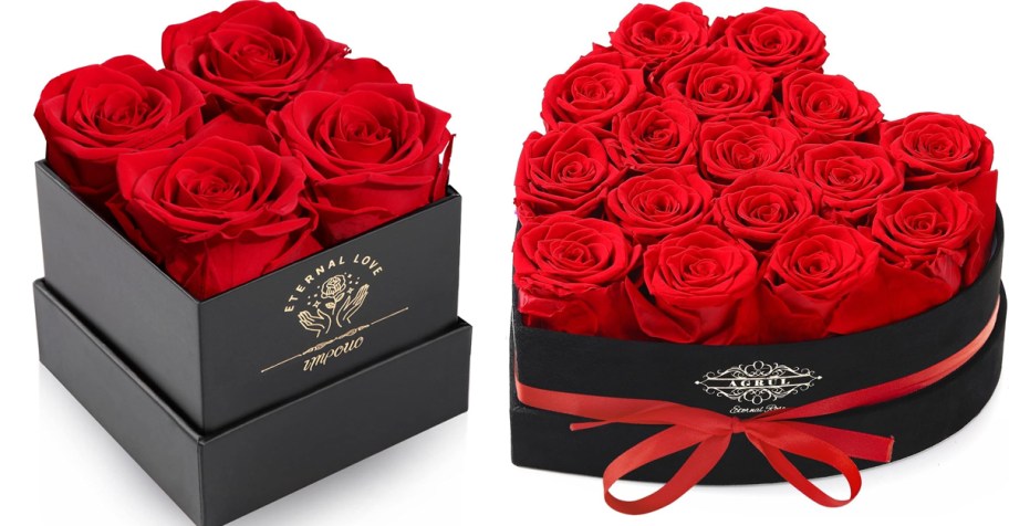red roses in black boxes 