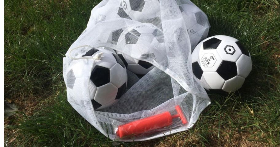 six soccer balls in a mesh bag with a red pump on grass