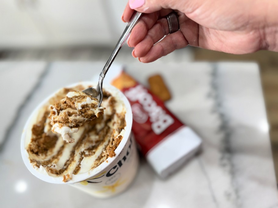 spoonful of greek yogurt cheesecake
