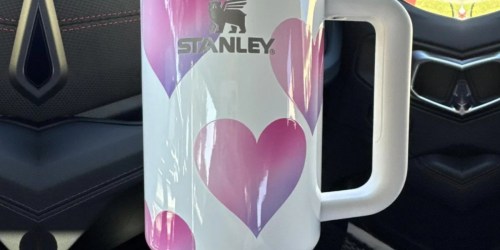 Stanley Valentine’s Day Tumblers Are Flying Off the Shelves at Target!