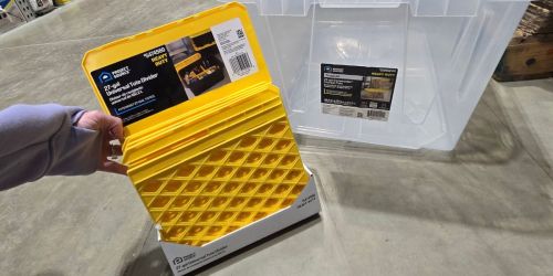 This Simple Totes Organization Hack Changes Everything (+ On Sale at Lowe’s!)