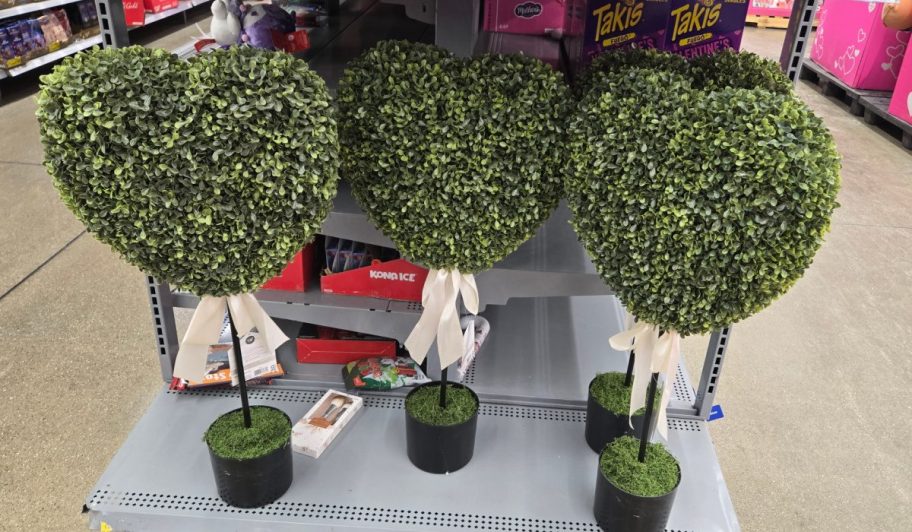 heart shaped topiary in store