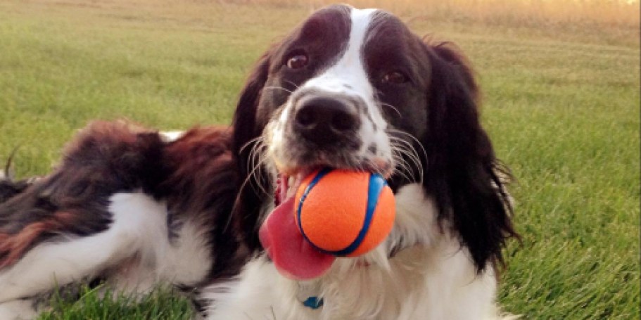 Chuckit Ultra Ball 2-Pack Only $4.72 Shipped on Amazon (Reg. $9)