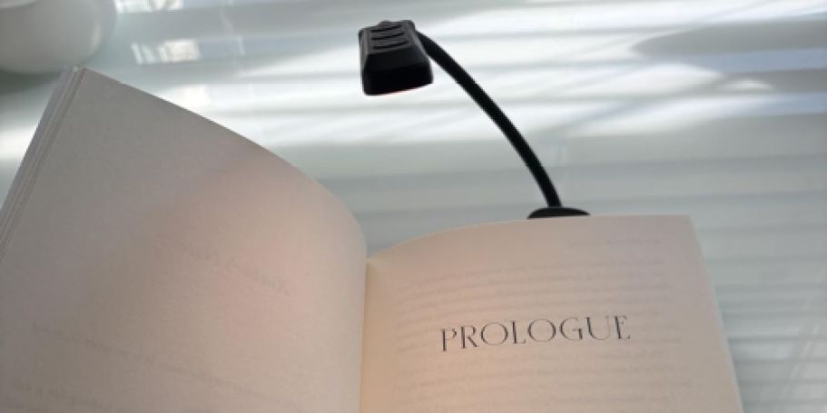 Rechargeable Book Light Only $5.99 on Amazon (Reg. $10)