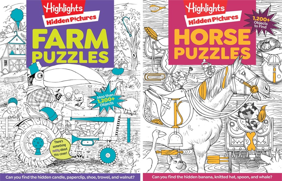 two Highlights Hidden Pictures books