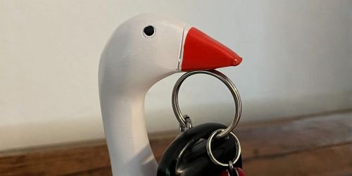 Best Goose Gifts if You’re Honking on the Trend (1st Birthdays, Party Favors, & More!)