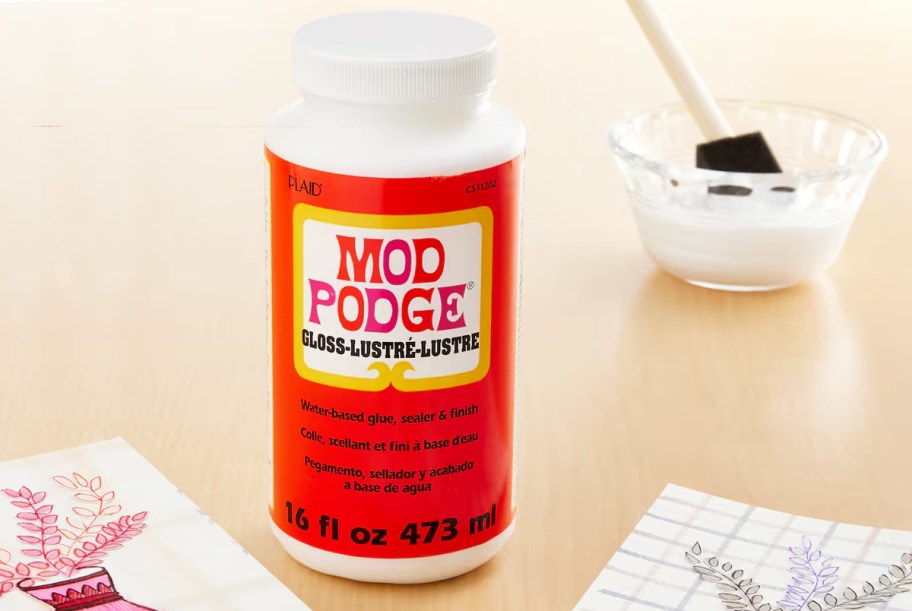 bottle of Mod Podge Gloss on table with craft project