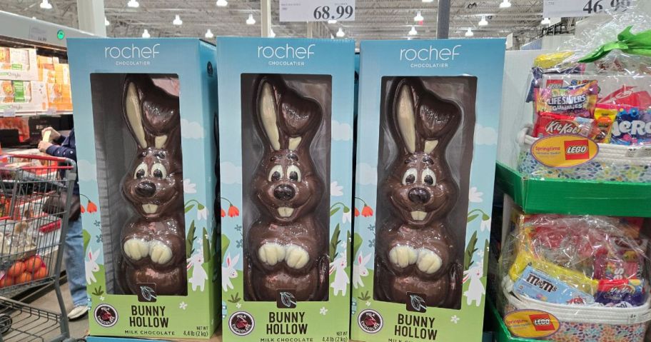 Rochef Chocolatier Large 70.4oz Easter Bunnies in store