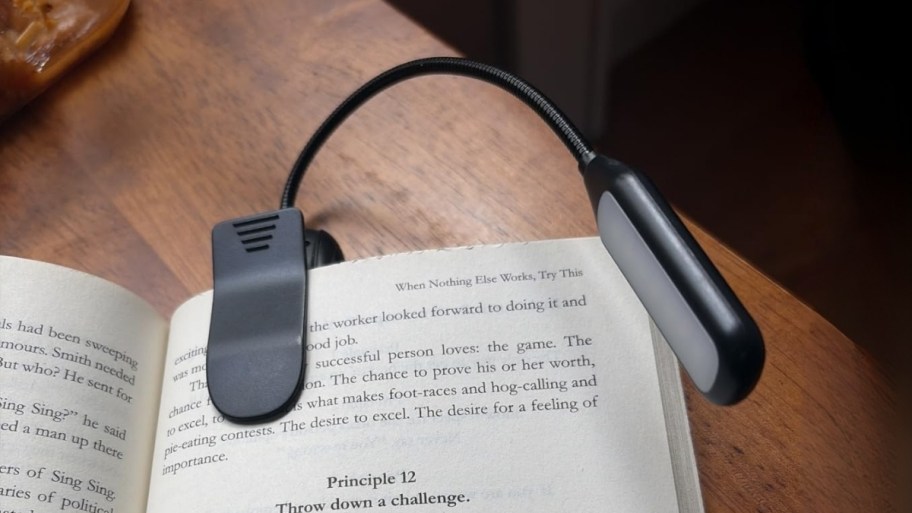 a booklight clipped to a book