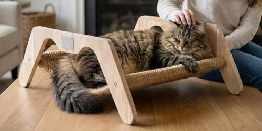 Cat Scratcher + Bed Combo Just $19.99 Shipped on Amazon (Reg. $46)