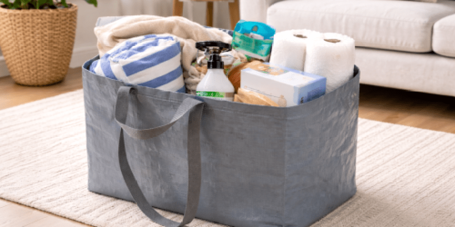 Extra-Large Storage Bag Only $1.96 on Walmart.com | Holds Up to 60 Pounds!