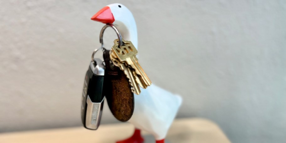 Porch Goose Fans, This Tiny Desk Version Is 50% Off!
