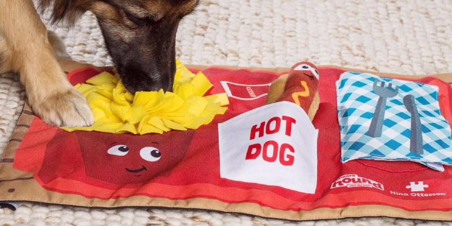 dog playing with fast food activity toy 