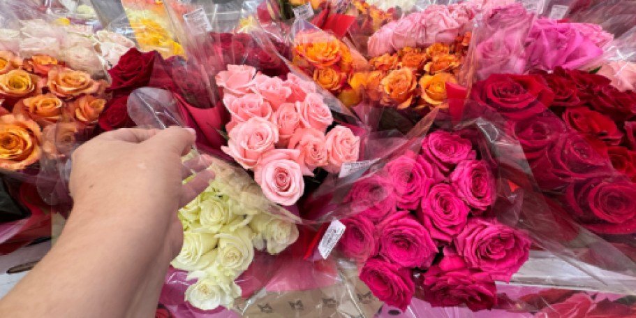 Dozen Premium Roses Only $16.97 at Sam’s Club (Tons of Gorgeous Colors)