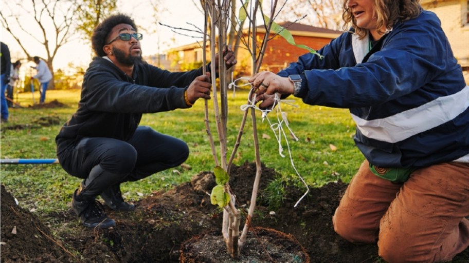 a man and a woman planting a tree in a neighborhood