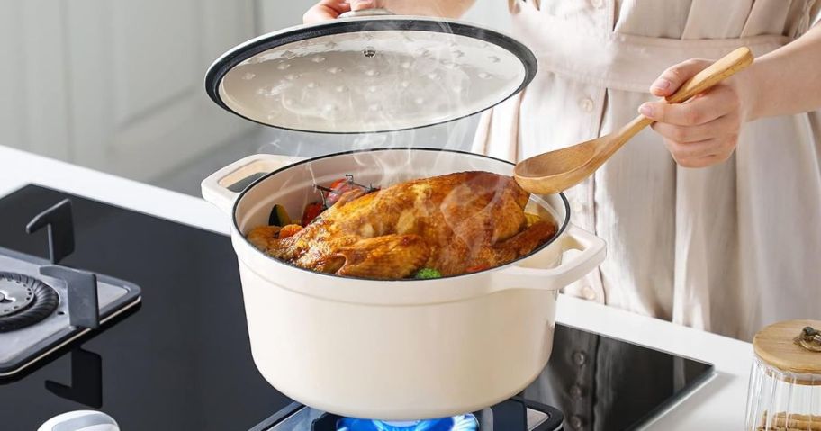 ancasso 6-Quart Enameled Cast Iron Dutch Oven