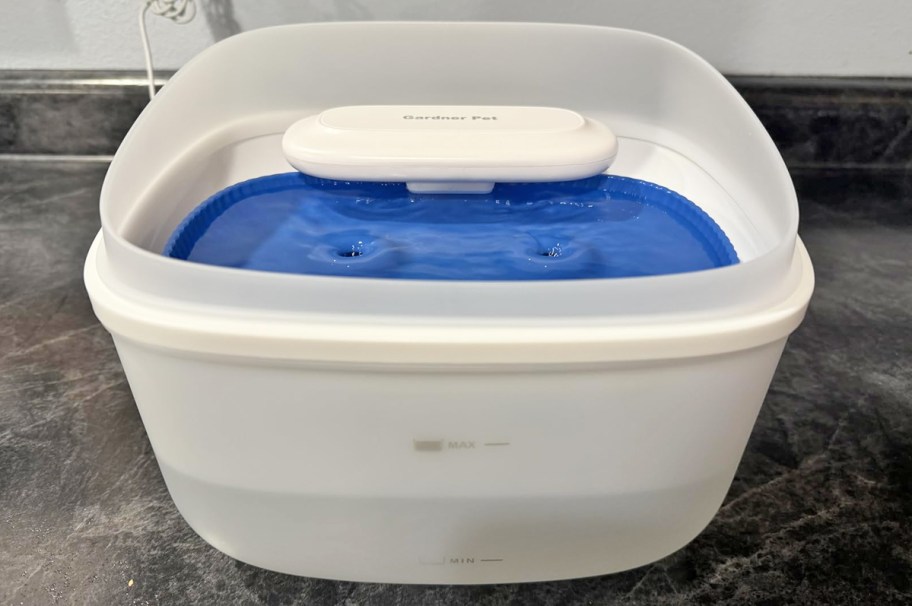 white pet water fountain