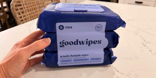FREE goodwipes Flushable Wipes 3-Pack After Cash Back at Walmart ($10 Value!)