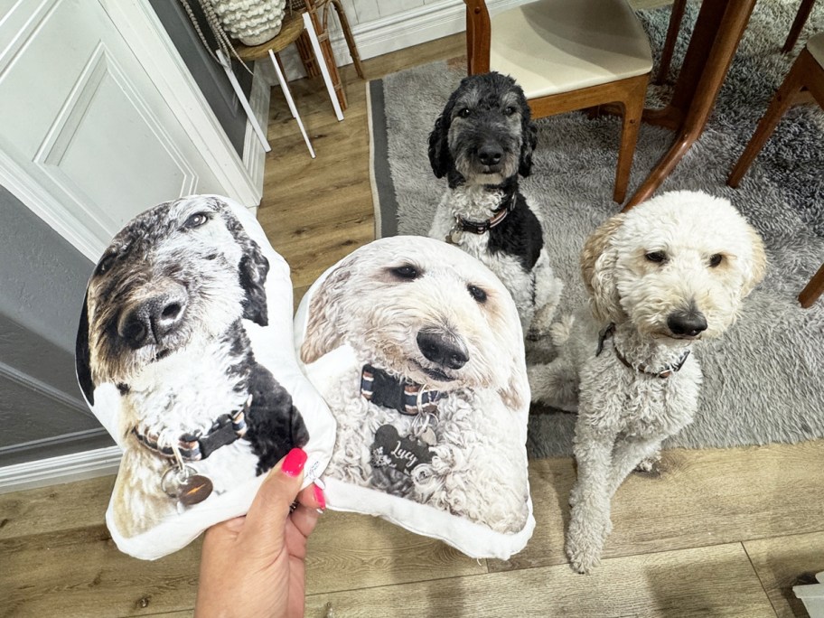 hand holding two custom dog pillows with dogs in the background