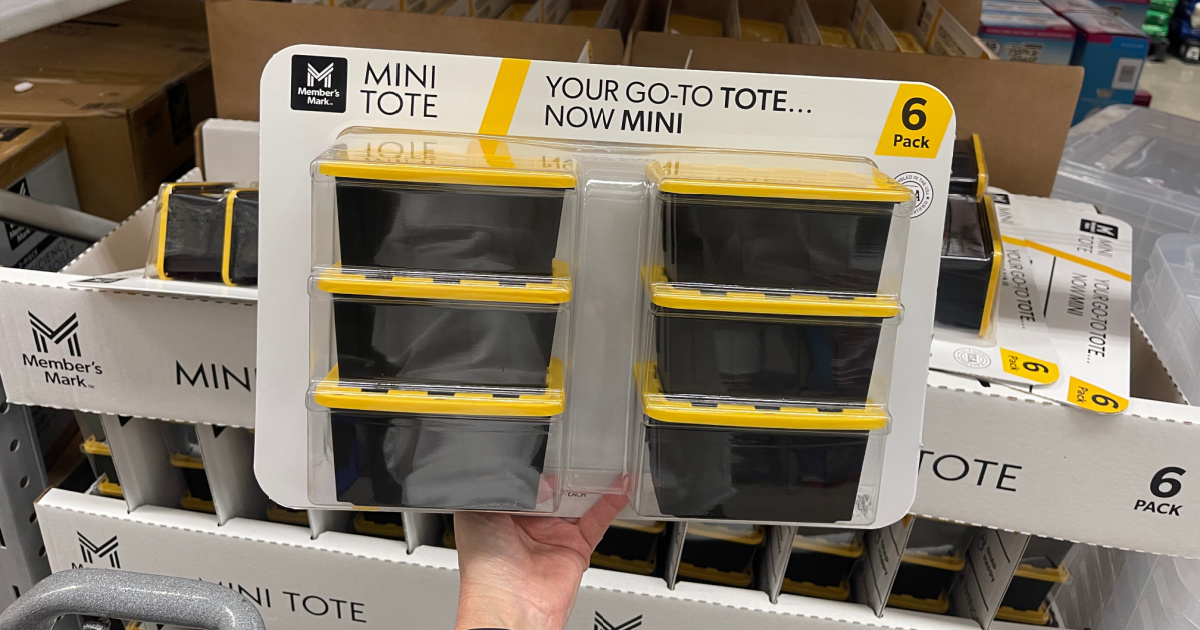 hand holding six pack of mini totes inside Sam's Club