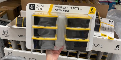 *NEW* Sam’s Club Mini Totes 6-Pack JUST $9.98!