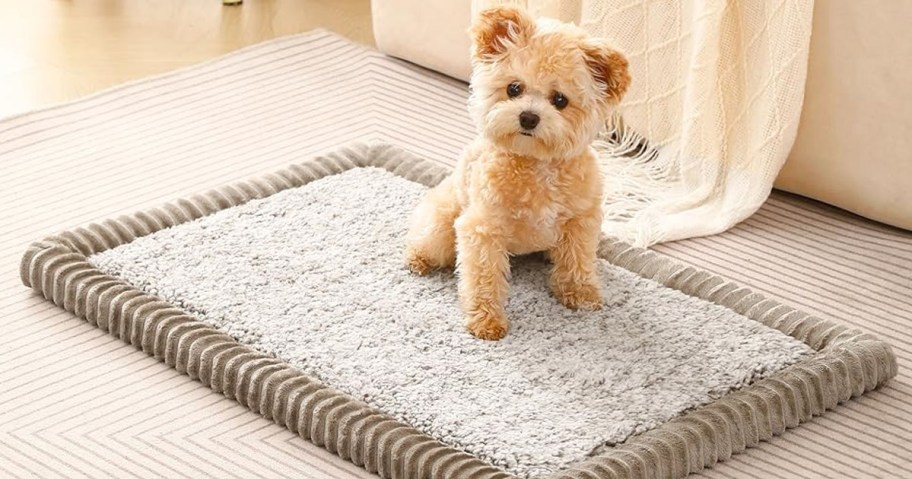 Pet Crate Mat