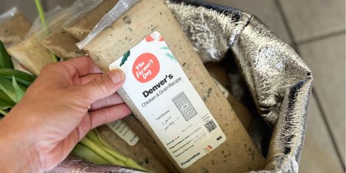I Did a TON of Research… This Ended Up Being My #1 Dog Food Pick (+ 60% Off!)