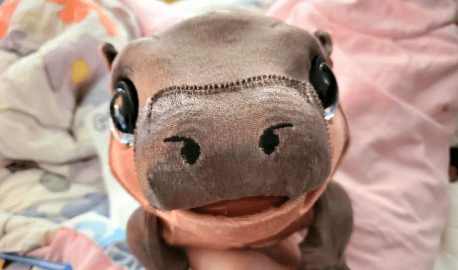FurReal Sally the Silly Hippo face