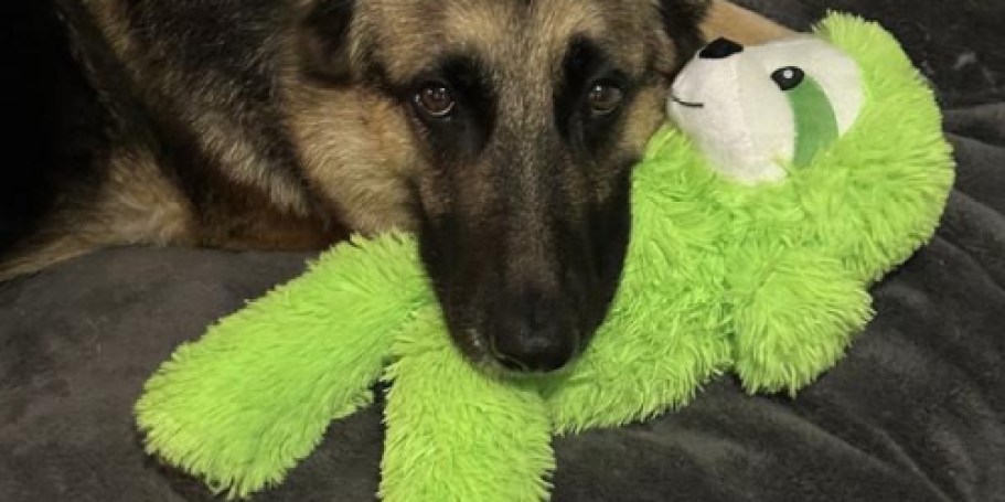 50% Off Dog Toys on Lowes.com + Free Shipping