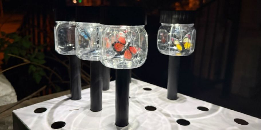 These Dollar Tree Solar Butterfly Lights are Too Cute to Pass Up (Only $1.50 Each!)