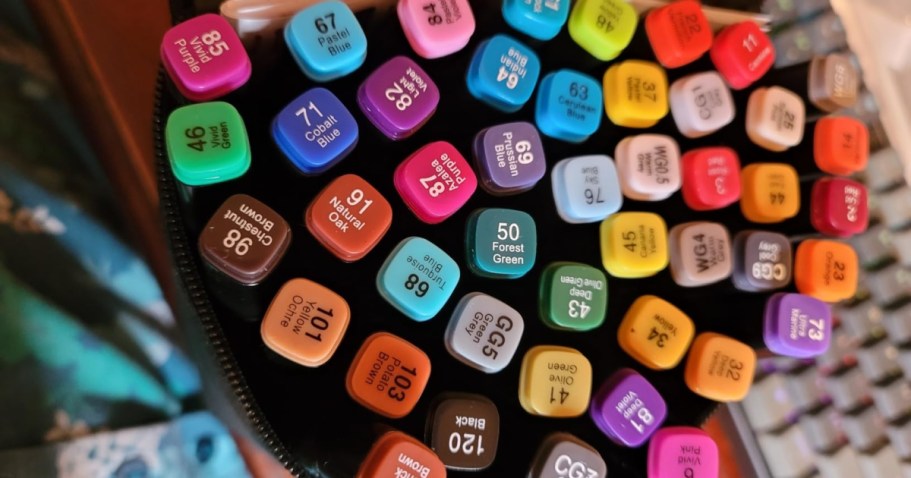 Alcohol Markers 80-Pack with Storage Case Just $9.49 on Amazon