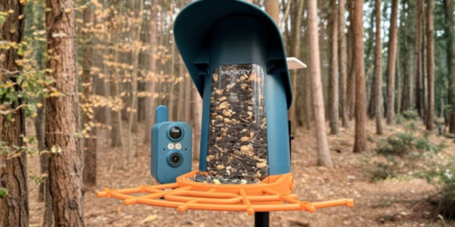 Smart Bird Feeder w/ Camera Just $30 Shipped on Amazon (Reg. $80)