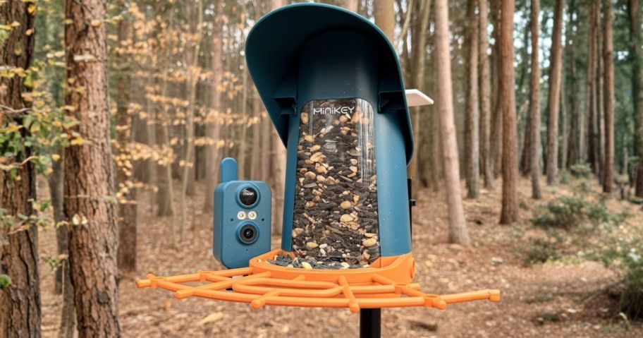 Minikey Smart Bird Feeder w/ Camera outside