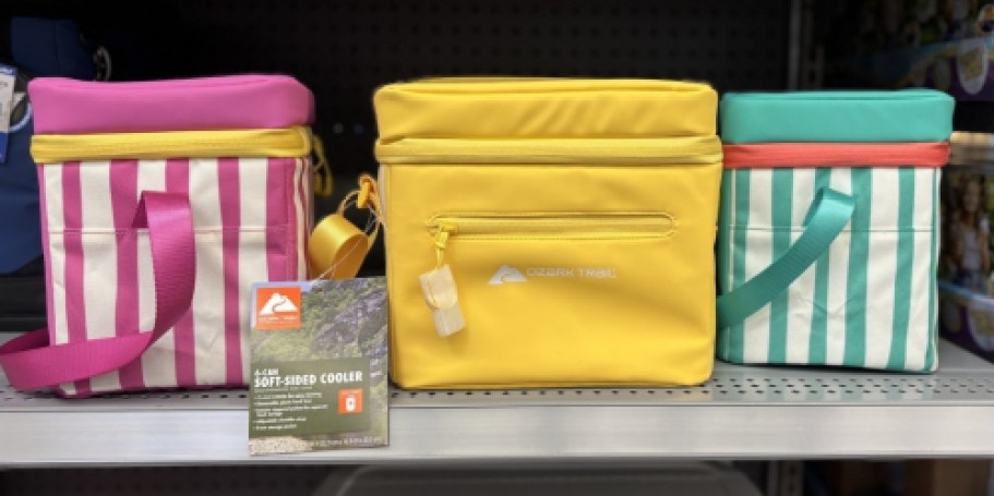 NEW Ozark Trail Can Coolers at Walmart (UNDER $11)