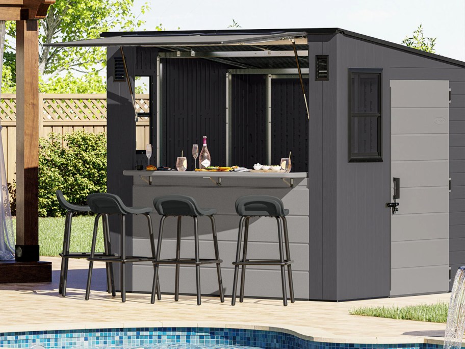 shed in backyard with built in bar with chairs around it