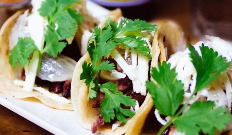Tacos with cilantro