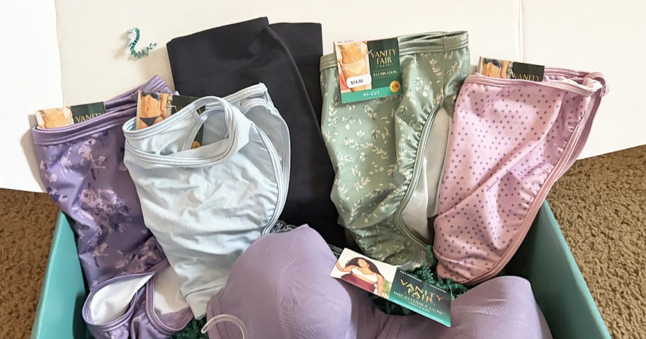 multiple pairs of underwear in a row in shipping box