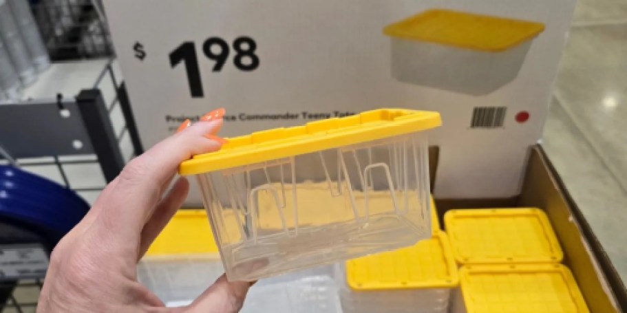 Viral Lowe’s Teeny Tote Just $1.98 | May Sell Out