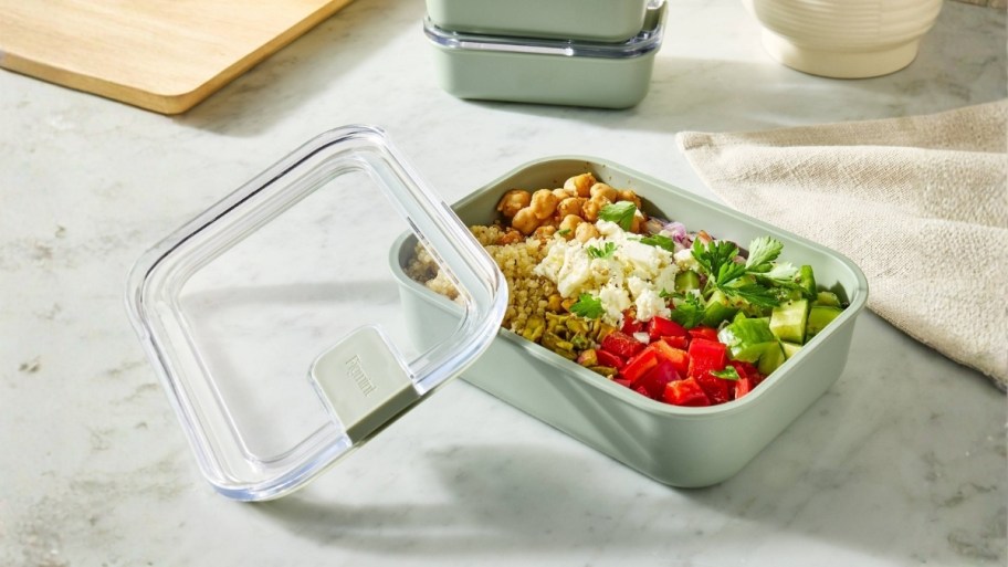 figmint food storage container