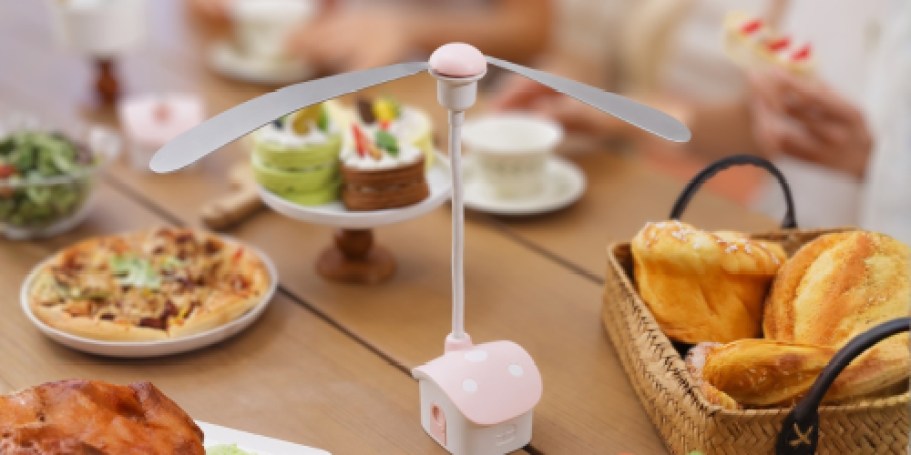 Fly Fans 4-Pack Just $11.99 on Amazon (Reg. $30) | Keeps Bugs Away from Food