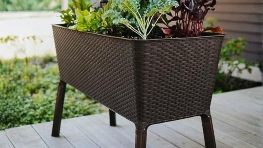 raised resin garden bed in brown, on a patio.